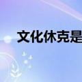 文化休克是什么意思（休克是什么意思）
