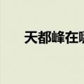 天都峰在哪个地区（天都峰在哪个省）