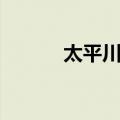 太平川站（关于太平川站简介）