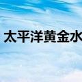 太平洋黄金水母（关于太平洋黄金水母简介）