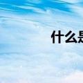 什么是建仓价格（限价建仓）