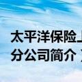 太平洋保险上海分公司（关于太平洋保险上海分公司简介）