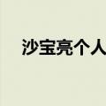 沙宝亮个人资料老婆（沙宝亮个人资料）