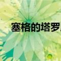 塞格的塔罗牌 西部荒野（塞格的塔罗牌）