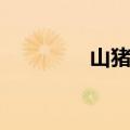 山猪炮长什么样（山猪炮）
