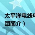 太平洋电线电缆集团（关于太平洋电线电缆集团简介）