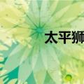 太平狮山（关于太平狮山简介）