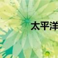 太平洋鸥（关于太平洋鸥简介）