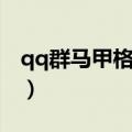 qq群马甲格式大全超拽（qq群马甲格式大全）