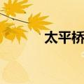 太平桥弄（关于太平桥弄简介）