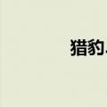 猎豹.com（猎豹网址大全）