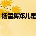 杨雪舞郑儿是什么电视剧（杨雪舞是郑妃吗）