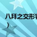八拜之交形容什么生肖（八拜之交是什么生肖）