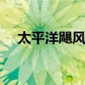 太平洋飓风季（关于太平洋飓风季简介）