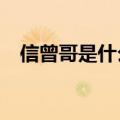 信曾哥是什么意思?（信曾哥是什么意思）