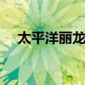 太平洋丽龙虱（关于太平洋丽龙虱简介）
