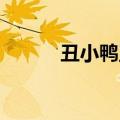 丑小鸭王子 朵朵（丑小鸭王子）