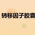 转移因子胶囊可以长期吃吗（转移因子胶囊）