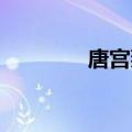 唐宫燕 下载（唐宫燕全集）