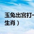 玉兔出宫打一个最准生肖（玉兔出宫打一正确生肖）