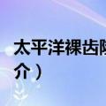 太平洋裸齿隆头鱼（关于太平洋裸齿隆头鱼简介）
