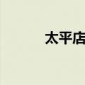 太平店镇（关于太平店镇简介）
