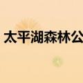 太平湖森林公园（关于太平湖森林公园简介）