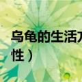 乌龟的生活方式及特点有哪些（乌龟的生活习性）