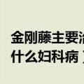 金刚藤主要治什么妇科病（妇科千金片主要治什么妇科病）