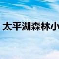 太平湖森林小镇（关于太平湖森林小镇简介）