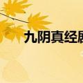 九阴真经剧本哪个好（九阴真经剧本）