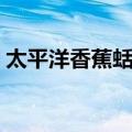 太平洋香蕉蛞蝓（关于太平洋香蕉蛞蝓简介）
