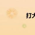 打大a官方下载（打大A）