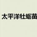 太平洋牡蛎苗种（关于太平洋牡蛎苗种简介）