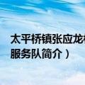 太平桥镇张应龙村志愿服务队（关于太平桥镇张应龙村志愿服务队简介）