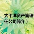 太平洋资产管理有限责任公司（关于太平洋资产管理有限责任公司简介）