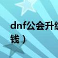 dnf公会升级需要什么（dnf公会升级要多少钱）