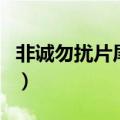非诚勿扰片尾曲是什么歌名（非诚勿扰片尾曲）