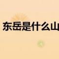 东岳是什么山是什么地方的（东岳是什么山）
