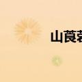 山莨菪碱说明书（山莨菪碱）