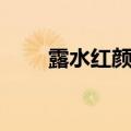 露水红颜电影结局（露水红颜票房）