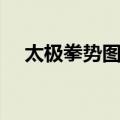 太极拳势图解（关于太极拳势图解简介）