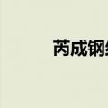 芮成钢结婚了吗?（芮成钢女友）