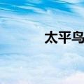 太平鸟科（关于太平鸟科简介）
