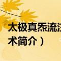 太极真炁流注针灸术（关于太极真炁流注针灸术简介）
