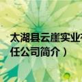 太湖县云崖实业有限责任公司（关于太湖县云崖实业有限责任公司简介）