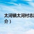 太河镇太河村志愿服务队（关于太河镇太河村志愿服务队简介）