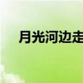 月光河边走举目望星空是哪首歌的歌词?