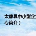 太康县中小型企业服务中心（关于太康县中小型企业服务中心简介）