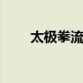太极拳流派（关于太极拳流派简介）